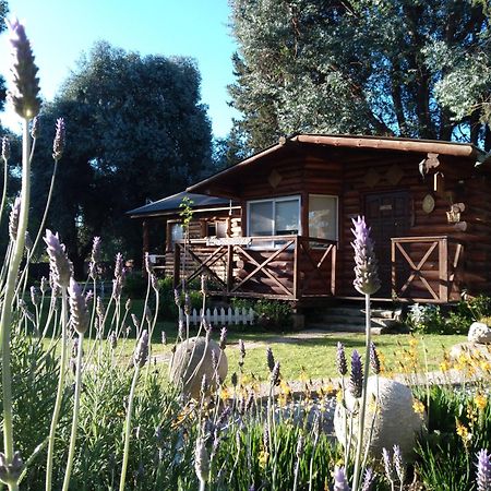 Pualy Resort & Spa Belén de Escobar Εξωτερικό φωτογραφία