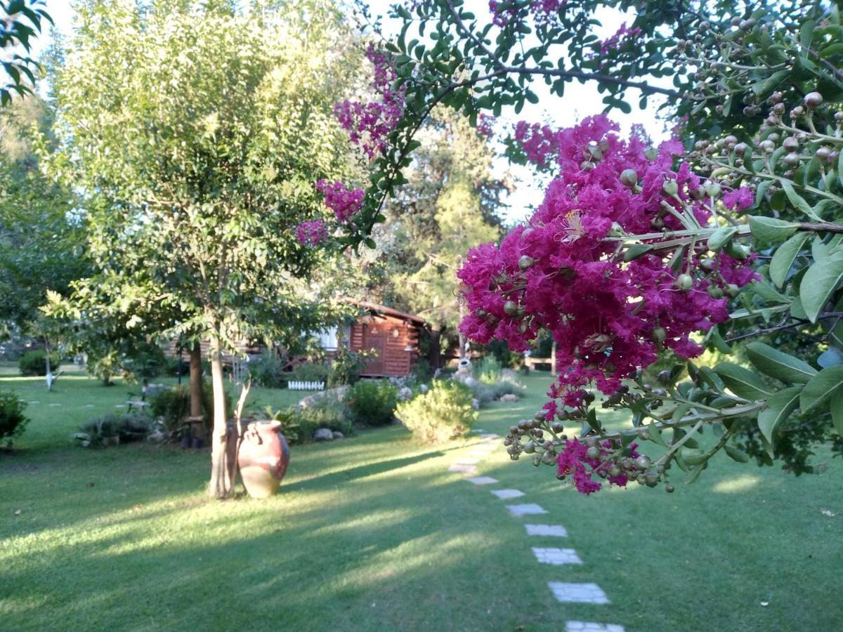 Pualy Resort & Spa Belén de Escobar Εξωτερικό φωτογραφία