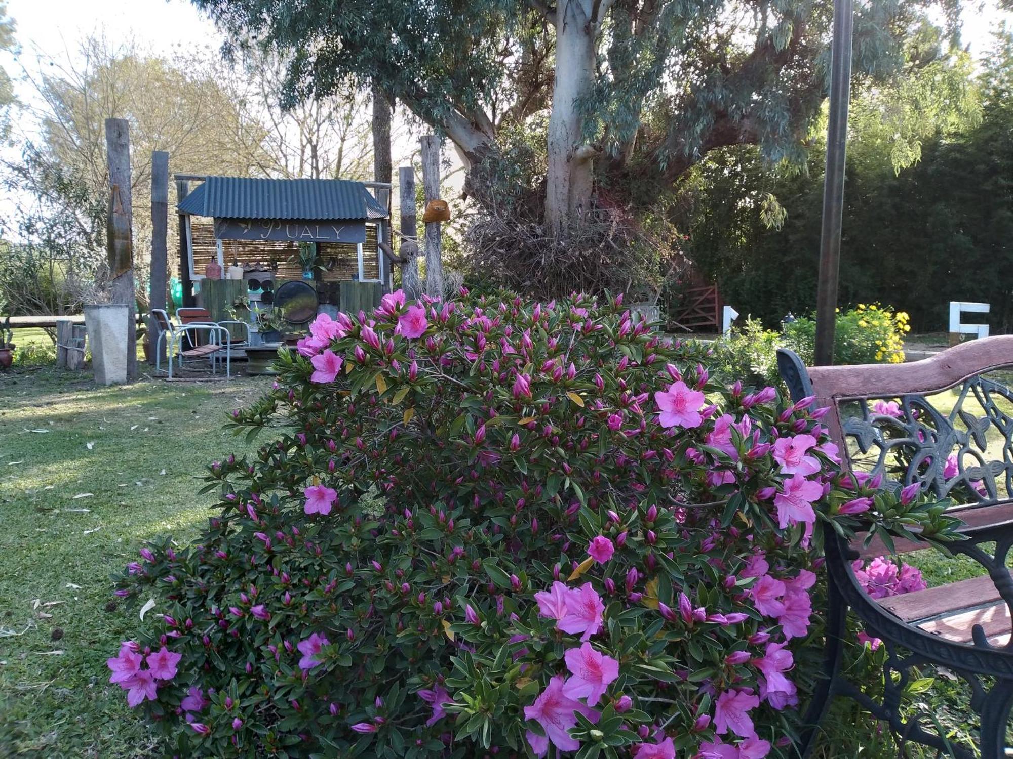 Pualy Resort & Spa Belén de Escobar Εξωτερικό φωτογραφία